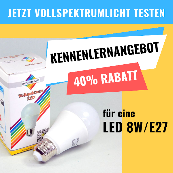 LED Lampe 8 Watt E27 zum Kennenlernen